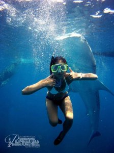  	Swimming with the Whale Sharks-Oslob, Cebu
